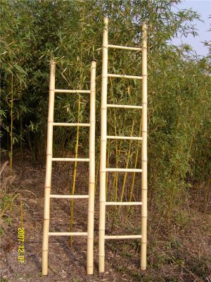 High Quality Used Lightweight Bamboo Ladder of Single-Side