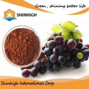 High Quality 95% OPC Grape Seed Extract Powder