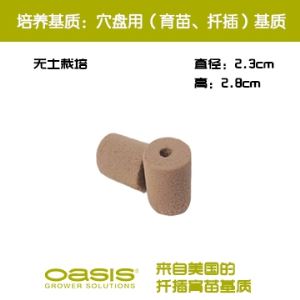 Universal Small Cylinder for Cuttage Seedling Height2.8cm Diameter2.3cm SHT2350-5
