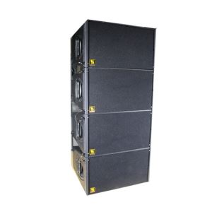 Dual 10 Inch Two Way Line Array Speaker Box