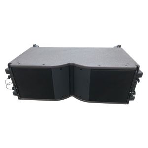Dual 8 Inch 2 Way Line Array Source Element