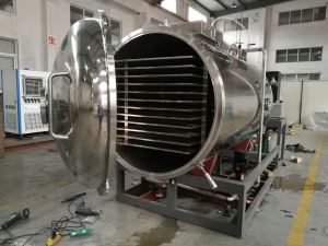 Freeze Dryer Factory Sell Food And Pharma Freeze Dryer Machine