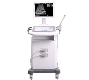 Factory Digital Portable Ultrasound Scanner System With Linear Wireless Ultrasound Probe
