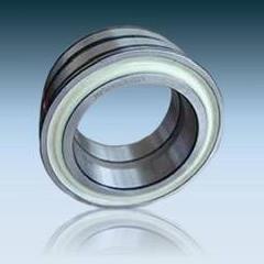 SL Double Row Full Complement Cylindrical Roller Bearing