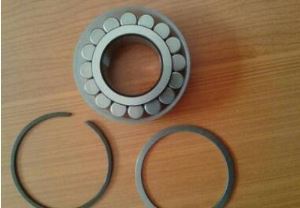 RSL Single Row Full Complement Cylindrical Roller Bearing
