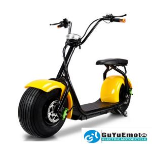 2 Wheel Electric Vehicles Halley Scooter