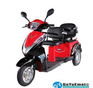3 Wheel Electric Tricycle with Double Seat