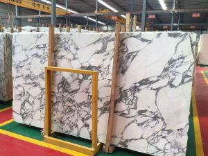 Arabescato White Marble Floor And Wall Tile Slab