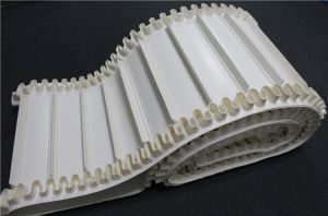 Different Surface Conveyor Belt with Skirt Rim, Cleats and Guide Bar