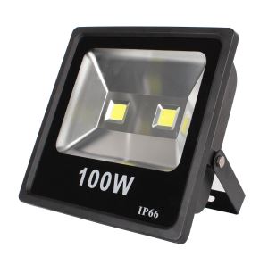 10W / 20W / 30W 50W /1000W IP65 Outdoor LED Flood Lights / Floodlights with Pir