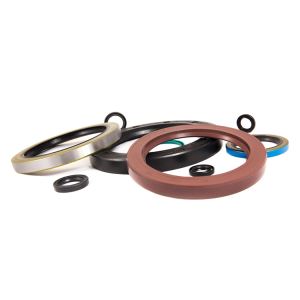 TC Double Lip Viton Rubber Metric Rotary Shaft Oil Seal With Garter Spring