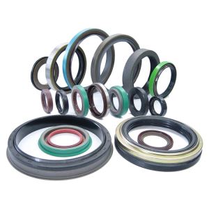Gearbox Oil Seals Rotary Shaft Seals Brake Housing Oil Seal