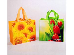Recyclable Laminated Durable and Waterproof Non Woven Bag for Shopping Shoe Garment Grocery Promotion and Gift