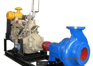 Portable Jiangdong Diesel Engine Water Pump Set