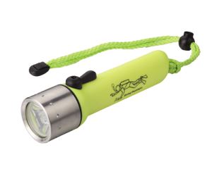 Stanless Steel 3W Cree LED Professional Diving Waterproof Flashlight Torch Reach 160 Lumens
