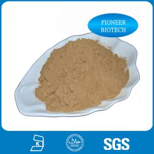 Dandelion Root Extract Organic Powder for Bodybuilding and Cancer in Sale