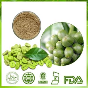 Halal Green Coffee Bean Extract