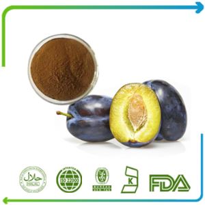 Dark Plum Fruit Extract