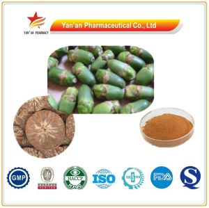 Areca Nut Extract Arecoline/Arecoline Hydrobromide GMP Supplier