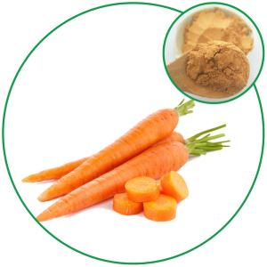 Carrot Powder, Healthy Food Drink Powder China Wholesale Manufacturer