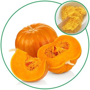 Pumpkin Powder, Natural Pure Vegetable Powder China Manufacturer