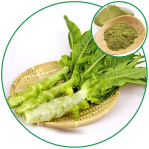 Lettuce Powder, Chinese Pure Vegetable Powder Origin