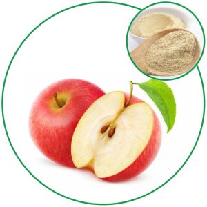 Apple Powder, Chinese Origin Fruit Juice Powder