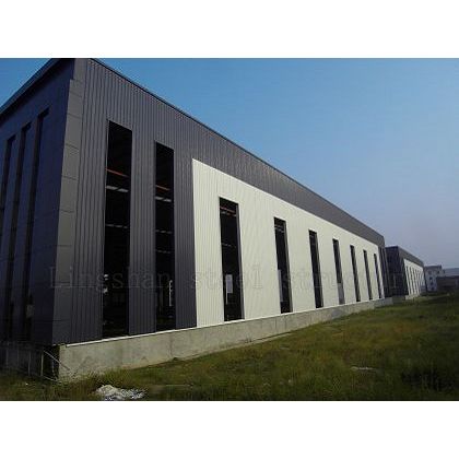 Steel Structure Metal Plant Buildings Kits for Sale