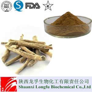 Panax Asian Ginseng Extract Ginsenoside,Korean/Asian Ginseng Root Extract,RH2 RB1 Manufacturers