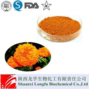 Hot Sales Marigold Flower Extract Powder Lutein