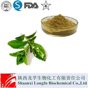 Best Stevia Leaf Extract Powder,Stevioside