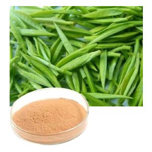 Tea Polyphenols,natural Best Green Tea Extract Powder for Sale