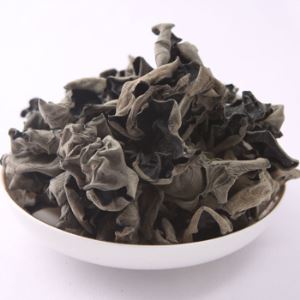 Black Agaric for Sale Best Price