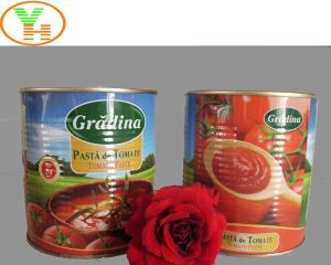China Manufacturing Industry Tomato Paste in Canned Tin