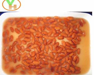 China Canned Red Kidney Beans Types of Kidney Beans