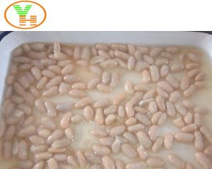 High Quality Nutrious Canned Food Factory Red Kidney Vegetable Beans Canned Bean