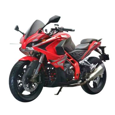 Top Design Super Fast Street Heavy Motorcycle Racing for Sale
