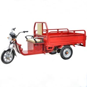 800W 400kg Capacity Battery Powered Cargo Use Auto Rickshaw Electric Tricycle