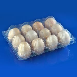 Transparent Plastic Containers Pack 15 Eggs