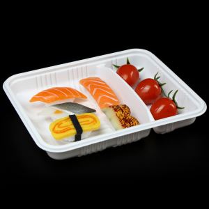White 2 Compartments Boxes Lunch Tray With Lid