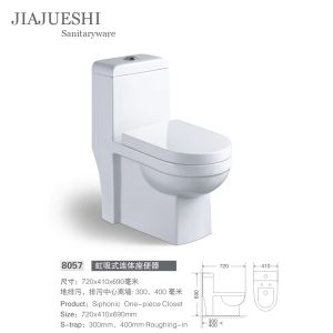South America Hot Sell Porcelain Ceramic High Gloss Dual Flush S Trap One Piece Toilet Bowl WC