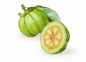Garcinia Cambogia Extract HCA for Weight Loss