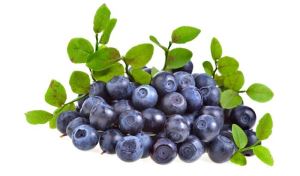 Strong Antioxidant Blueberry Extract Powder For Food Supplement And Cosmetics
