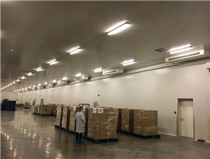 Food and Beverage Refrigerated Room Construction