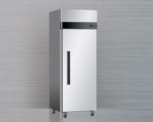 Single Door Upright Commercial Freezer