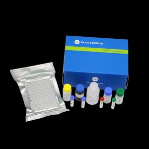 Mouse CXCL1/KC Enzyme Immunoassay Kit
