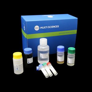 Human Apolipoprotein AII/Apo A2 Antibody ELISA Kit