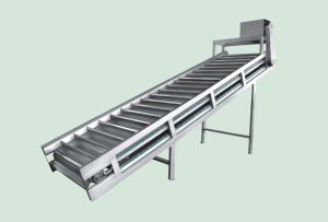Stainless Steel Type, Plastic Type and Spiral Type Elevating Conveyor Lifter for Fruit and Vegetable