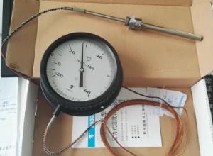 Capillary Type Stainless Steel Double Scale Round Shape Pressure Immersion Thermometer