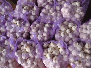 Fresh and Cooling Pure White Garlic with 20kg Mesh Bag Size 5.0cm Up